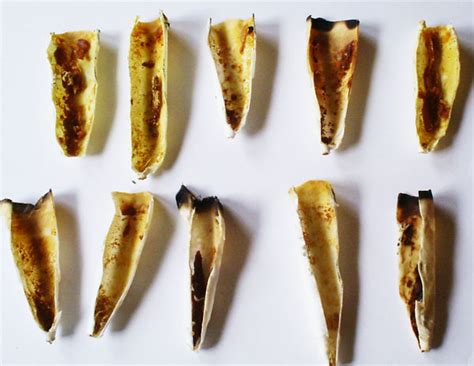 ear candle results|ear candling residue.
